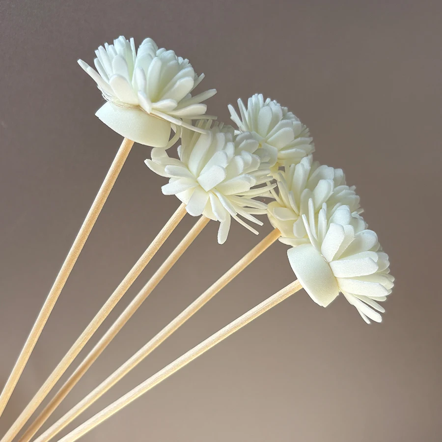 10pcs Aroma Diffusing Stick an - Aromatherapy Diffuser ulasan dan harga