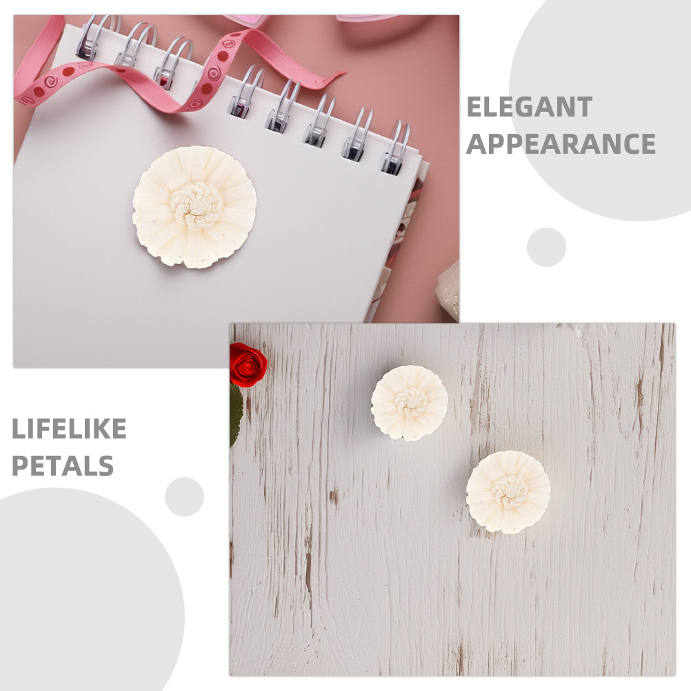 8Pcs Floral Diffuser Sola Chry - Aromatherapy Diffuser ulasan dan harga