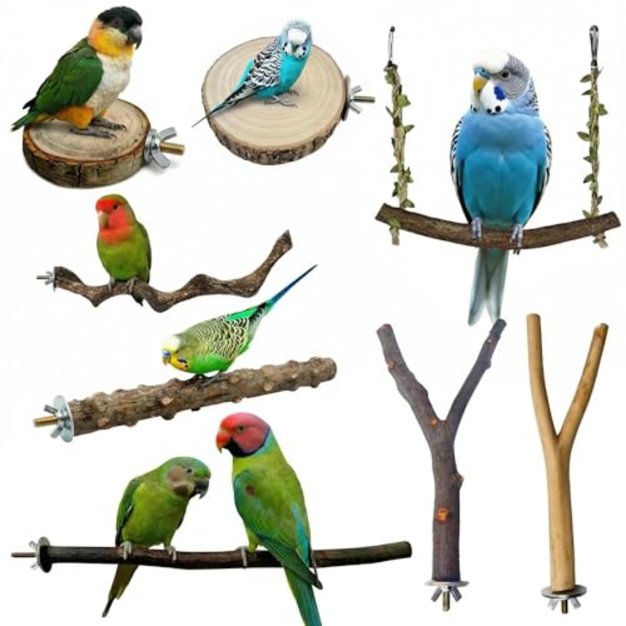 8PCS natural wood bird perches - Health & Wellness Kuala Lumpur ulasan dan harga