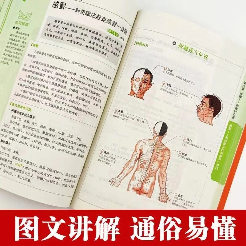 Holistic Health & Wellness Ser - Holistic Health & Wellness ulasan dan harga