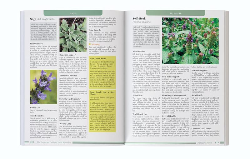 The Forgotten Guide to Plant R - Holistic Health & Wellness ulasan dan harga