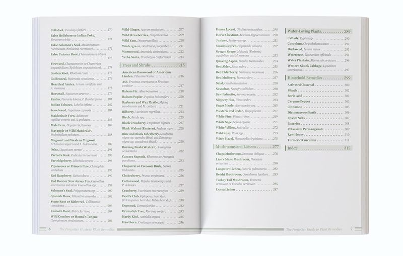 The Forgotten Guide to Plant R - Holistic Health & Wellness ulasan dan harga