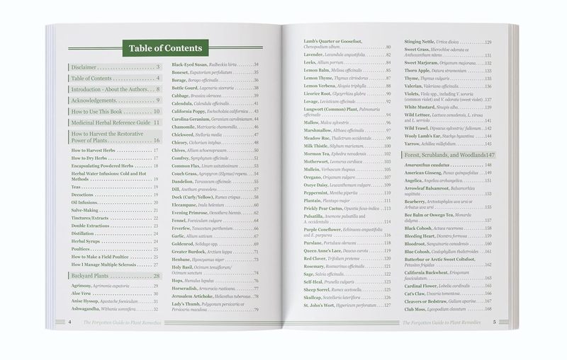 The Forgotten Guide to Plant R - Holistic Health & Wellness ulasan dan harga