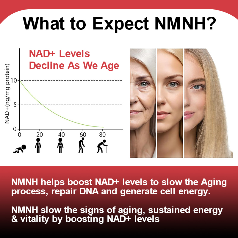 Advanced NMNH 500mg Supplement - Holistic Health & Wellness ulasan dan harga